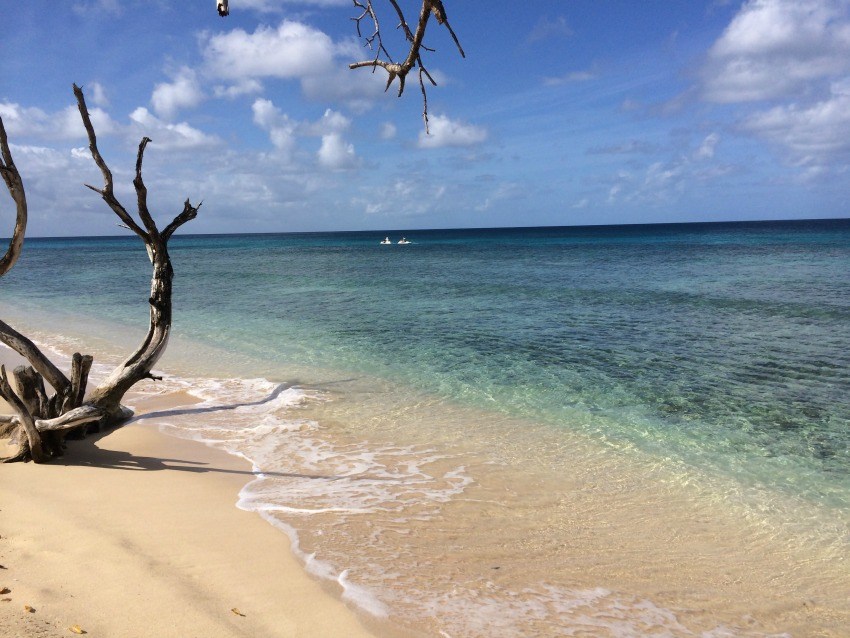 speightstown beach in barbados