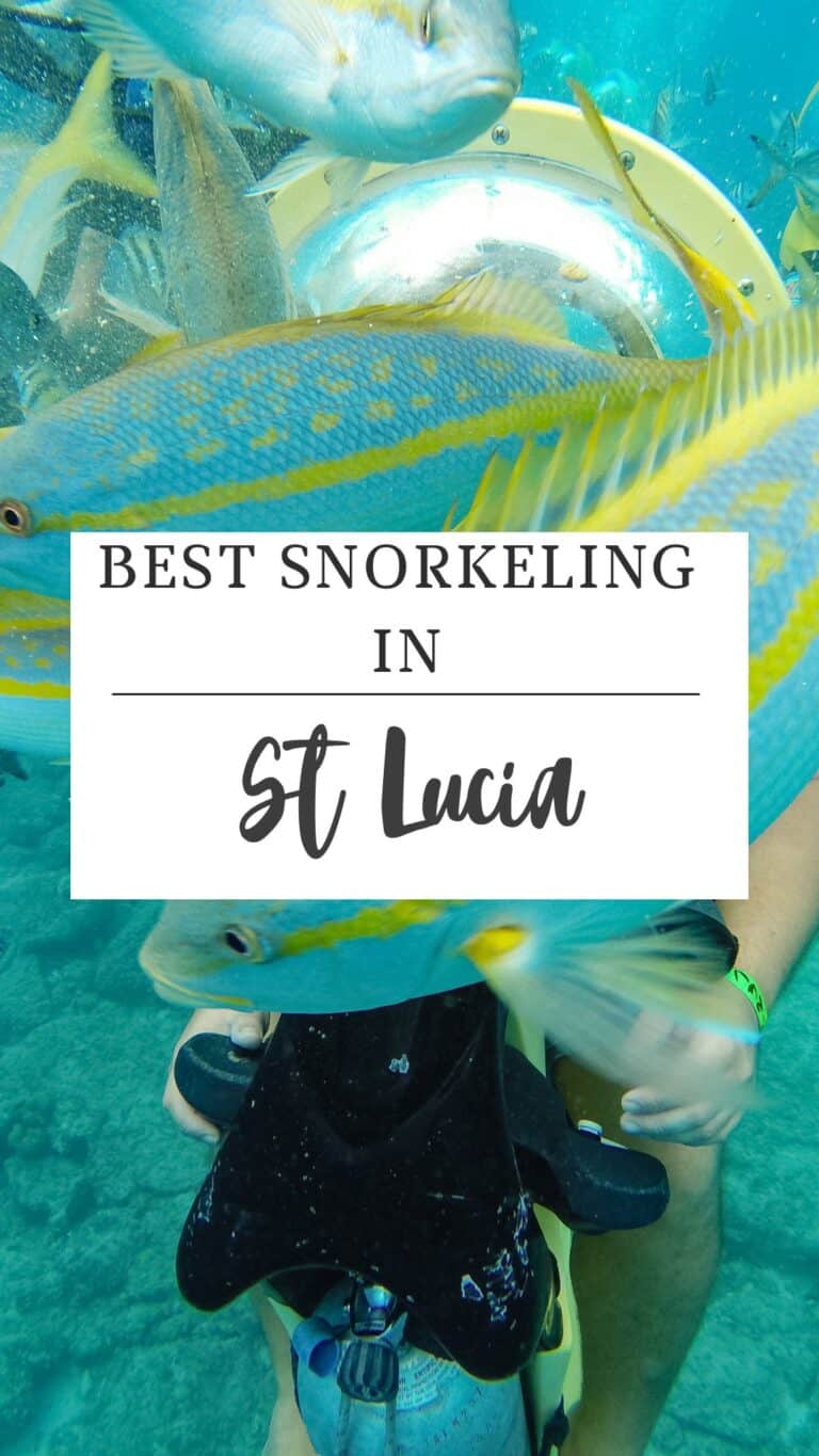 Best Snorkeling in Saint Lucia