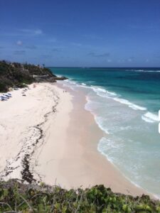 A sandy beach with gentle waves and seaweed along the shore, under a clear blue sky. A few people and beach umbrellas dot this serene escape, one of the best beaches in Barbados.