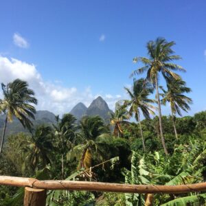 View of lush tropical landscape in St. Lucia with palm trees and mountains under a clear blue sky, capturing the vibrant spirit of Jounen Kwéyòl.