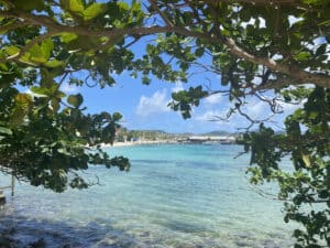 View of a clear turquoise sea framed by leafy trees at Pigeon Island, St. Lucia, with a distant shoreline and blue sky in the background.