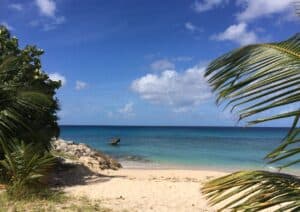 A tropical beach on islands close to St. Lucia offers clear blue water, a sandy shore, and swaying palm trees beneath a bright sky with scattered clouds.