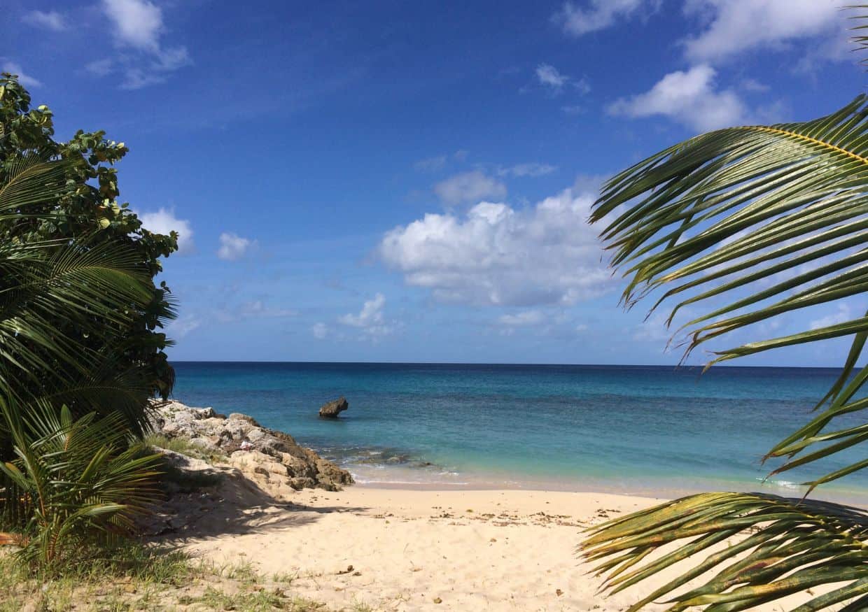 A tropical beach on islands close to St. Lucia offers clear blue water, a sandy shore, and swaying palm trees beneath a bright sky with scattered clouds.