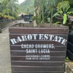 A wooden planter labeled "Rabot Estate, Cacao Growers, Saint Lucia. Sustainable Farming from Hotel Chocolat" sits on a paved path adorned with tropical plants—a delightful prelude to your St. Lucia chocolate tour.
