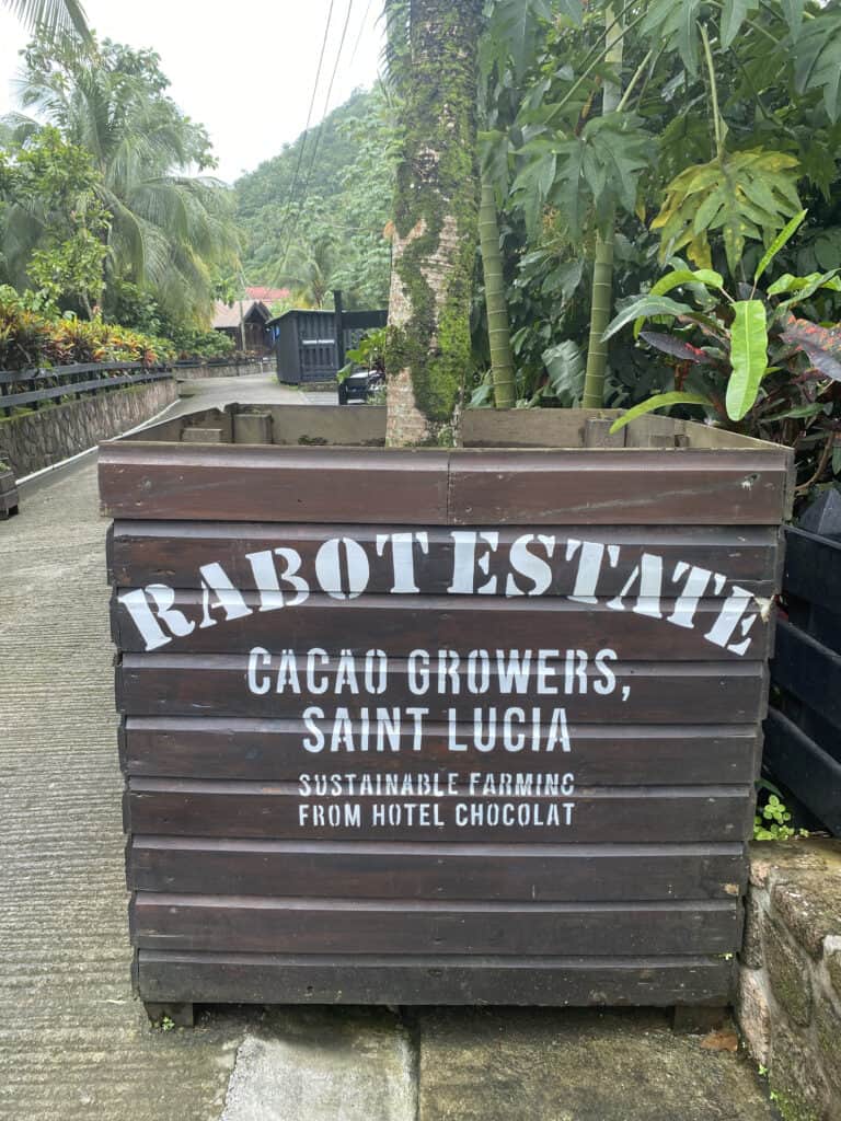 A wooden planter labeled "Rabot Estate, Cacao Growers, Saint Lucia. Sustainable Farming from Hotel Chocolat" sits on a paved path adorned with tropical plants—a delightful prelude to your St. Lucia chocolate tour.
