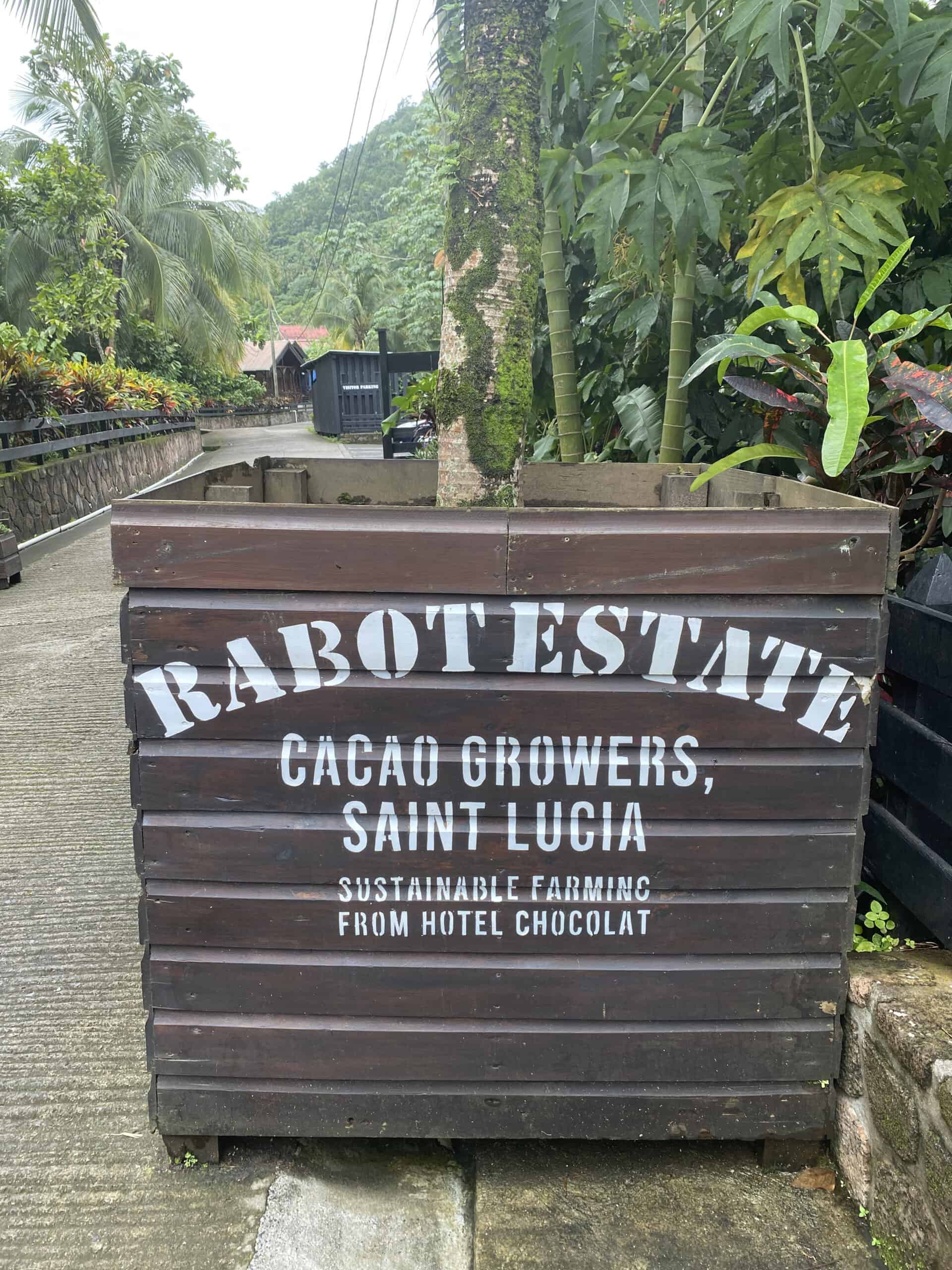 A wooden planter labeled "Rabot Estate, Cacao Growers, Saint Lucia. Sustainable Farming from Hotel Chocolat" sits on a paved path adorned with tropical plants—a delightful prelude to your St. Lucia chocolate tour.