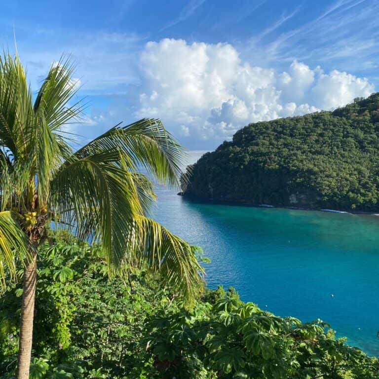 A tropical landscape unfolds with a palm tree in the foreground, lush green hills, and the turquoise ocean under a partly cloudy sky, reminiscent of those serene islands close to St. Lucia.