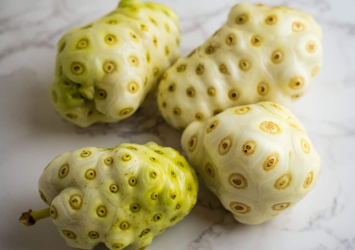 Four noni fruits with their distinctive bumpy, yellowish-green skin are artfully arranged on a pristine white marble surface.