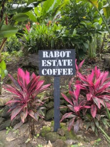 A sign reading "Rabot Estate Coffee" is nestled among lush greenery and vibrant red plants, inviting a tropical escape. Curious if there's a Starbucks in Saint Lucia? Savor the island's rich coffee heritage instead.