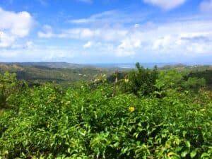 Lush green vegetation in the foreground, with a distant view of hills reminiscent of the Barbados Flower Forest, set against a blue sky and scattered clouds.
