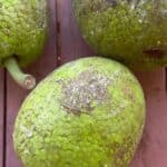 Three green breadfruits with textured skin are placed on a wooden surface.