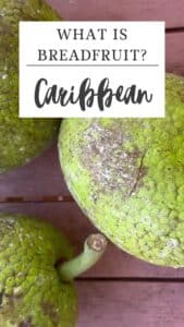 Close-up of two green breadfruits with textured skin on a wooden surface; text reads "What is Breadfruit? Caribbean.