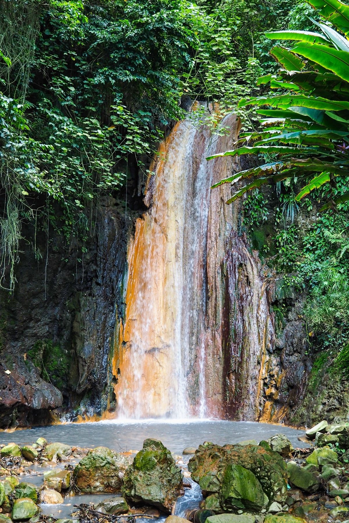 A waterfall cascades down a rocky cliff surrounded by lush green vegetation, with water flowing into a small pool and rocks in the foreground—an idyllic scene reminiscent of St Lucia waterfalls.