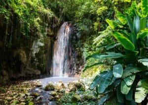 A waterfall flows down a rocky cliff surrounded by lush green tropical plants and trees, with a pool and scattered stones at the base—capturing the breathtaking beauty of St Lucia waterfalls.