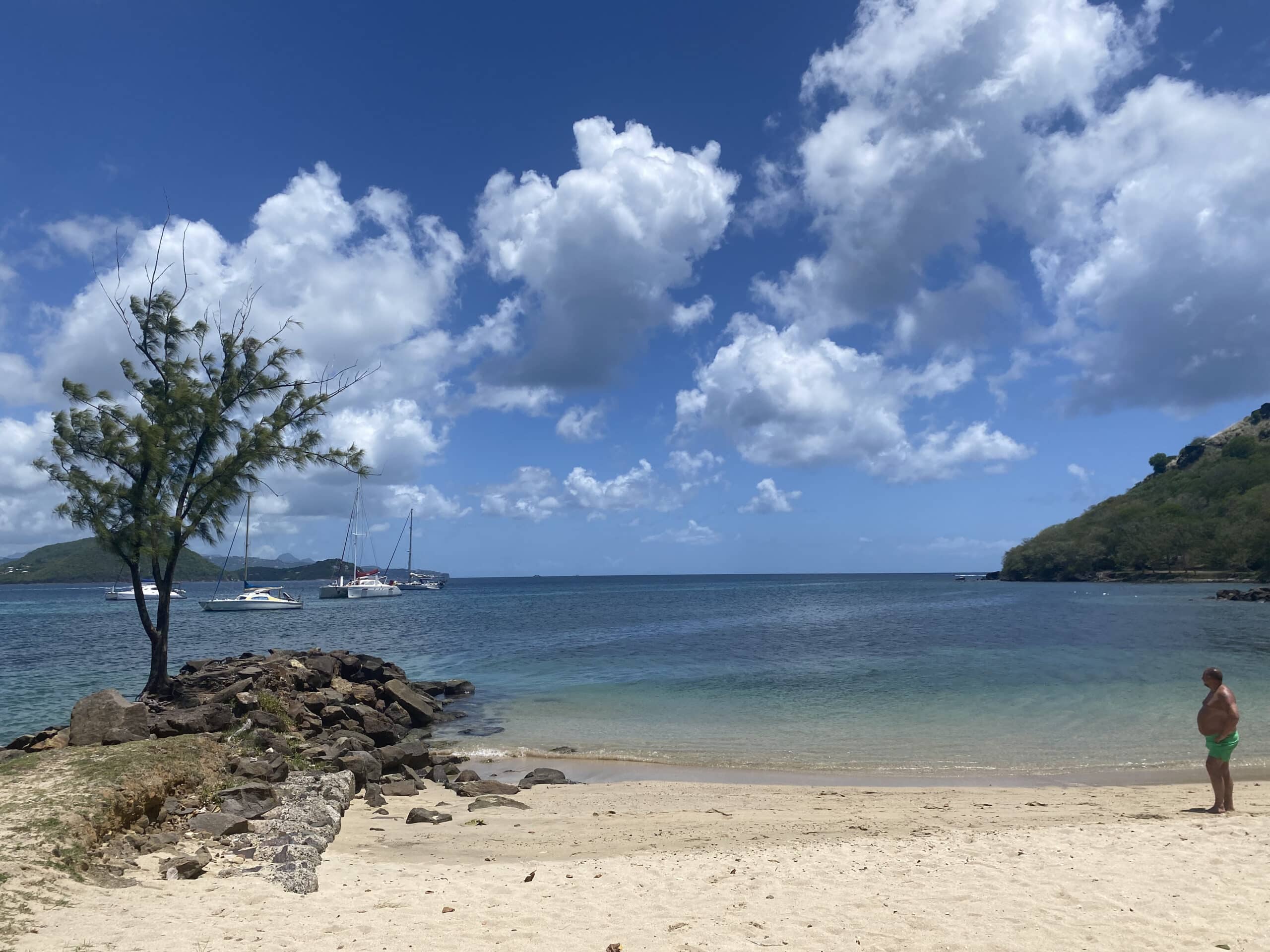 A sandy beach with a single tree, rocks, and a person standing near the shore—reminiscent of views from the pigeon island hike. Several sailboats are anchored in the calm blue water under a partly cloudy sky.
